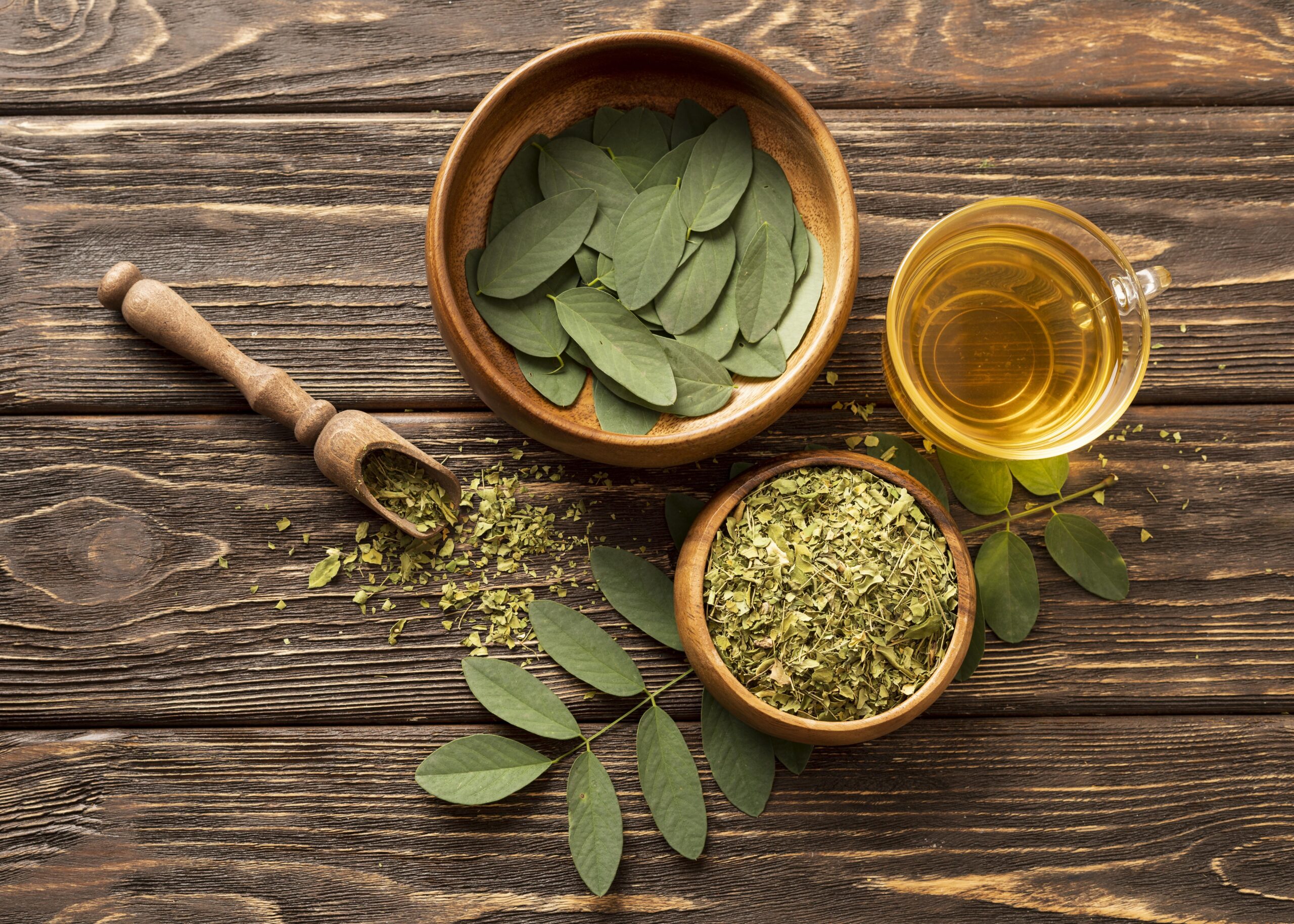 Rasayana therapy in Ayurveda: a holistic approach to promoting healthy aging and longevity